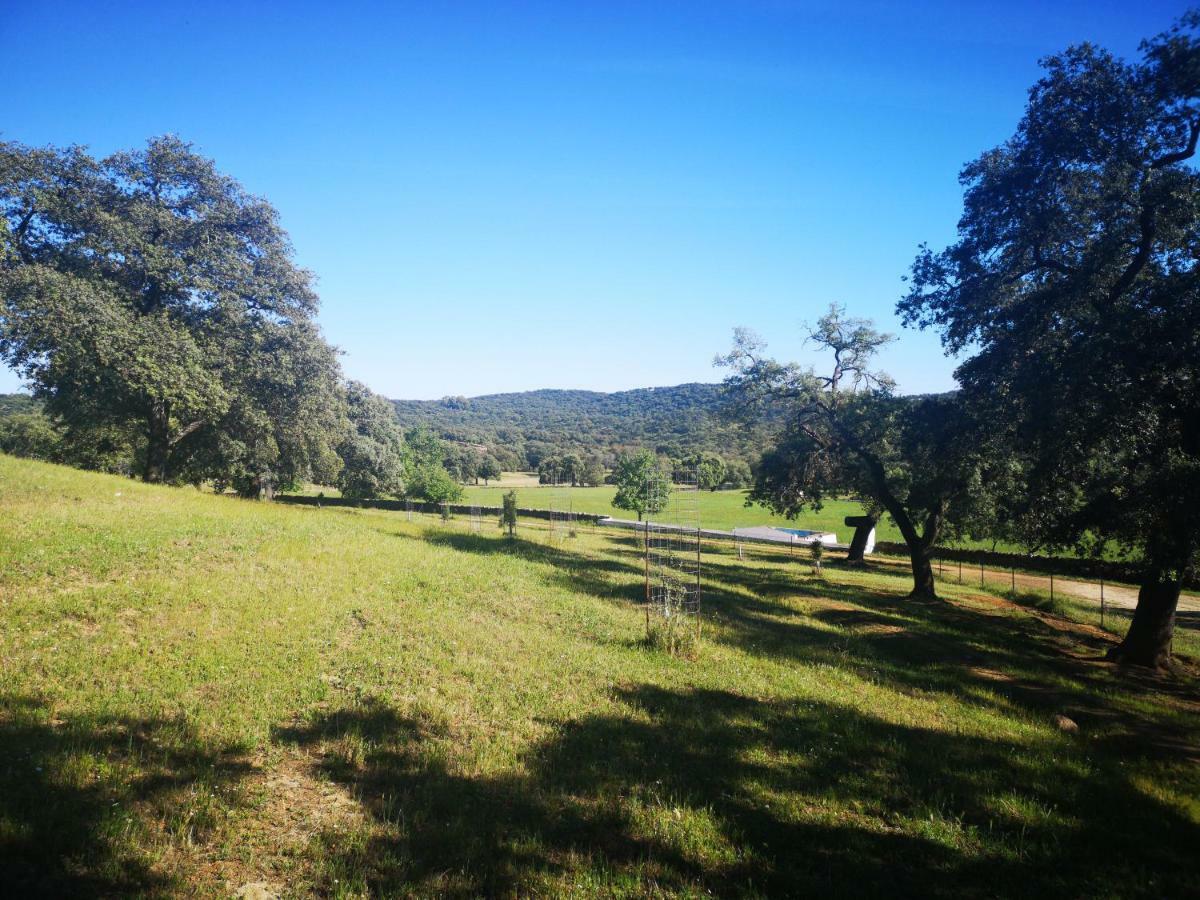 كثل دي لا سييرا Casa Rural La Dehesilla المظهر الخارجي الصورة